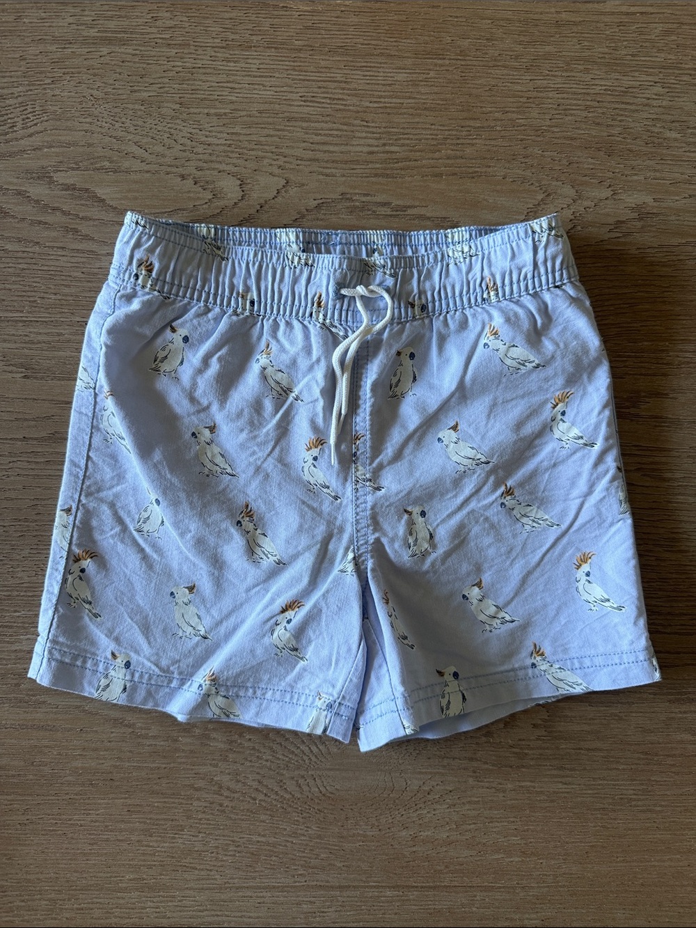 Janie and Jack Boys Sz 5 Light Blue Cockatoo Print Swim Trunks